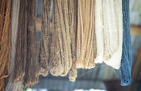 sustainable raw materials for clothing